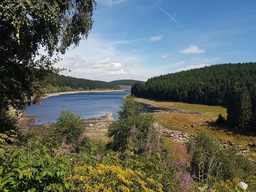 Готель The Cabin - Harz National Park Санкт-Андреасберг Екстер'єр фото