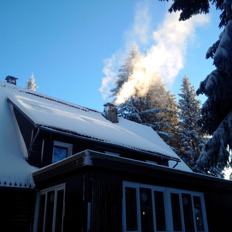Готель The Cabin - Harz National Park Санкт-Андреасберг Екстер'єр фото