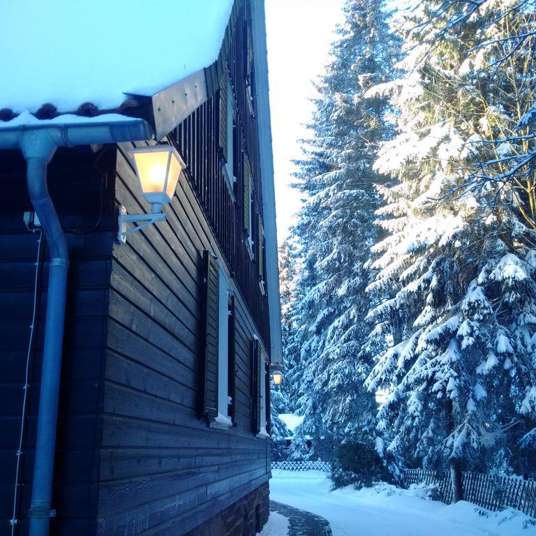 Готель The Cabin - Harz National Park Санкт-Андреасберг Екстер'єр фото